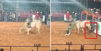 Peão morre após ser pisoteado por touro em torneio no MS  Foto: Reprodução/Redes Sociais