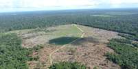 AGU bloqueia R$ 292 milhões em bens de pecuarista por desmatar e queimar a Floresta Amazônica  Foto: Reprodução/IBAMA