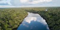 Segundo dados divulgados pelo Instituto do Homem e Meio Ambiente da Amazônia, nesta quarta  Foto: feira (24), foram devastados 93 km² -  Reprodução/Imazon / Perfil Brasil