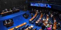 Funcionamento de cassino e bingos no Brasil é motivo de discordâncias no Senado  Foto: José Pereira/Agência Senado / Perfil Brasil