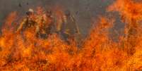 O estudo destaca que o m&ecirc;s de junho foi utilizado para a an&aacute;lise, momento em que o Pantanal j&aacute; enfrentava inc&ecirc;ndios recorde  Foto: Jo&eacute;dson Alves/Ag&ecirc;ncia Brasil / Perfil Brasil