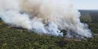 Incêndio no parque Guajará  Foto: Mirim, no estado de Rondônia -  PrevFogo/Divulgação / Perfil Brasil