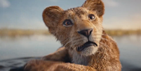 Em Mufasa: O Rei Leão, a Disney vai revelar o que afastou os "irmãos" Mufasa e Scar (Imagem: Disney)  Foto: Canaltech