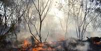 O governador de SP, decretou estado de emergência em 45 cidades do interior devido aos incêndios florestais que vêm assolando a região  Foto: Valter Campanato / Agência Brasil / Perfil Brasil