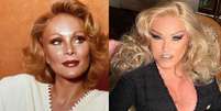 Antes e depois da socialite Jocelyn Wildenstein  Foto: Montagem