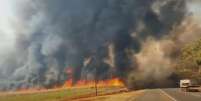 Seis pessoas já foram presas em decorrências dos incêndios em São Paulo; queimadas ganharam força na sexta-feira, 23  Foto: Divulgação/Corpo de Bombeiros / Estadão