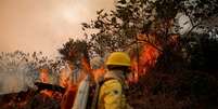 Brigadista do Ibama combate chamas na floresta amazônica em Apuí, no Amazonas 08/08/2024  Foto: REUTERS/Adriano Machado