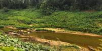 Amazônia pode ter seca histórica em 2024  Foto: Adrielle Farias/Terra