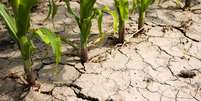 A falta de chuvas prejudica especialmente os pequenos produtores, que muitas vezes não possuem sistemas de irrigação Foto: depositphotos.com / fotokostic / Perfil Brasil