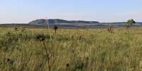 Chapada dos Veadeiros é uma das principais áreas de preservação do cerrado  Foto: DW / Deutsche Welle