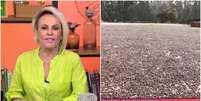 Ana Maria Braga mostra primeira safra de café de sua fazenda  Foto: Reprodução/Globo