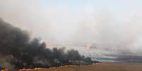 Incêndio em plantação de cana de açúcar no interior de São Pauilo, próximo a Dumon city, em 24 de agosto de 2024.  Foto: REUTERS/Joel Silva