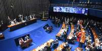 Senadores preveem votar nesta quarta-feira, 18, o projeto do Acredita  Foto: Jonas Pereira/Agência Senado / Estadão