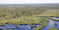 Para especialistas, Brasil pode oferecer efetivas soluções de clima em escala para o mundo  Foto: Fabio Rodrigues-Pozzebom/Agência Brasil / Estadão