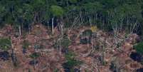 Área desmatada na Floresta Nacional do Jamanxim, na Amazônia paraense  Foto: Amanda Perobelli/Reuters / BBC News Brasil