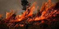 Incêndio na Floresta Amazônica em Apuí, no Amazonas  Foto: Reuters / BBC News Brasil