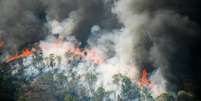 Calor, seca e riscos de incêndio estão aumentando na América do Sul, de acordo com estudo  Foto: Reprodução/Getty Images