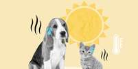 Altas temperaturas exigem cuidados especiais com os animais  Foto: N Universe | Shutterstock / Portal EdiCase