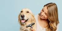 Evite transtornos com a pelagem do seu cachorro de pelo longo com cuidados preventivos Foto: ViDI Studio | Shutterstock / Portal EdiCase