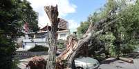 Tempestade de sexta-feira derrubou árvore na Rua Catão, no bairro da Lapa, zona oeste.  Foto: Werther Santana/Estadão / Estadão