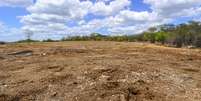 Caatinga é uma das áreas afetadas pela desertificação  Foto: Getty Images/Cacio Murilo de Vasconcelos