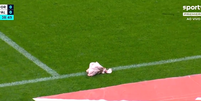 Cabeça de porco é arremessada no gramado em clássico entre Corinthians e Palmeiras  Foto: Reprodução/Premiere