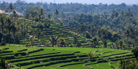 A Paisagem Cultural da Província de Bali: o Sistema Subak, Indonésia  Foto: Reprodução/Getty Images