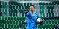 Marchesín salva Grêmio de ser goleado pelo Palmeiras (FOTO: LUCAS UEBEL/GRÊMIO FBPA) Foto: Esporte News Mundo