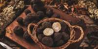 As trufas s&atilde;o fungos subterr&acirc;neos raros e altamente valorizados, que crescem em associa&ccedil;&atilde;o com ra&iacute;zes de &aacute;rvores espec&iacute;ficas  Foto: Canva Fotos / Perfil Brasil