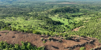 Imagem mostra desmatamento.   Foto: Mais Goiás