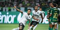 Botafogo vence o Palmeiras em 'final antecipada' do Brasileirão  Foto: Estadão Conteúdo/RONALDO BARRETO