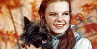 Judy Garland, como a personagem Dorothy Gale, segura Totó em uma foto de 'O Mágico de Oz'.  Foto: Herbert Dorfman/Corbis/Getty Images / Rolling Stone Brasil