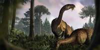 Ilustração artística de um sauropodomorfo, um dinossauro herbívoro  Foto: Marcin Ambrozi/Handout via REUTERS / BBC News Brasil