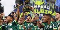 Palmeiras celebra o duodecacampeonato brasileiro, em 2023  Foto: Cesar Greco/Palmeiras