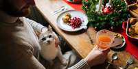 Veja o que não dar para os pets na ceia de Natal  Foto: Shutterstock / Alto Astral