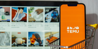Em seis meses de operação no Brasil, empresa já entrou no ranking dos dez sites de e-commerce mais acessados do País  Foto: anna.stasiia/Adobe Stock