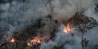 Pará registra maior número de focos de incêndiobetano tem fifa2024  Foto: Marizilda Cruppe