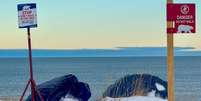 Avisos sobre ursos polares em Manitoba  Foto: Victoria Gill/BBC / BBC News Brasil