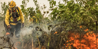 Incêndios causaram grande destruição no Brasil Foto: Marcelo Camargo/Agência Brasil