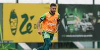  Foto: Fabio Menotti/Palmeiras - Legenda: Z&eacute; Rafael faz exames para ser refor&ccedil;o do Santos / Jogada10