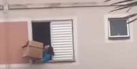 Cachorro estava preso em condom&iacute;nio de Guarulhos; v&iacute;deo mostra momento em que mulher salva o animal com caixa de papel&atilde;o  Foto: Reprodu&ccedil;&atilde;o/X / Contigo