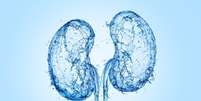 O câncer renal é uma doença que merece atenção  Foto: SP Creative Studio | Shutterstock / Portal EdiCase