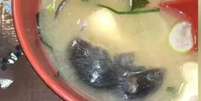 Foto de rato boiando em sopa de restaurante japonês viraliza  Foto: Reprodução/Tiktok