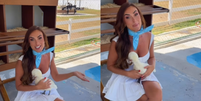 Nicole Bahls batiza galinhas com nomes de Lore Improta e Patrícia Poeta  Foto: Reprodução/ Instagram / Contigo
