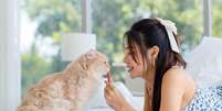 Os petiscos contribuem para a saúde física e mental dos animais  Foto: Bangkok Click Studio | Shutterstock / Portal EdiCase
