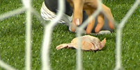 (  Foto: Reprodução/X / Esporte News Mundo