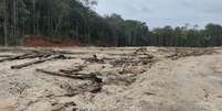 Área de desmatamento alvo de projeto de restauração ecológica: ciência faz a ponte entre esses tempos conflitantes das empresas e da natureza, harmonizando e buscando garantir o sucesso do processo Morfo/Divulgação  Foto: The Conversation