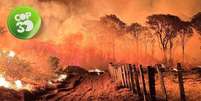 Incêndio Pantanal  Foto: CBMS/Divulgação