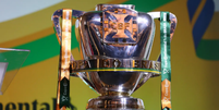 Troféu da Copa do Brasil  Foto: Divulgação