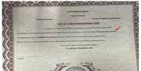 Certificados de constituição de offshores dos empresários Alex e Fábio Parente, investigados na Operação Overclean   Foto: Reprodução/Processo judicial